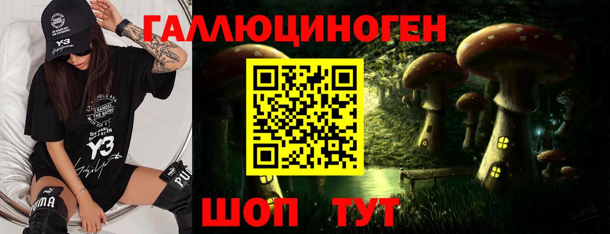Псилоцибиновые грибы Psilocybe Сегежа